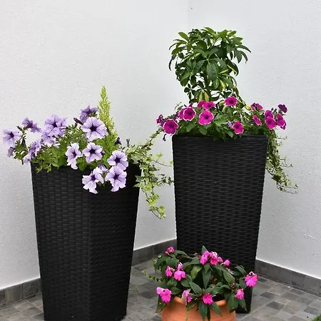 Apartman Salty Stories Ponta Delgada