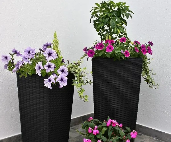 Apartment Salty Stories Ponta Delgada (Sao Miguel)