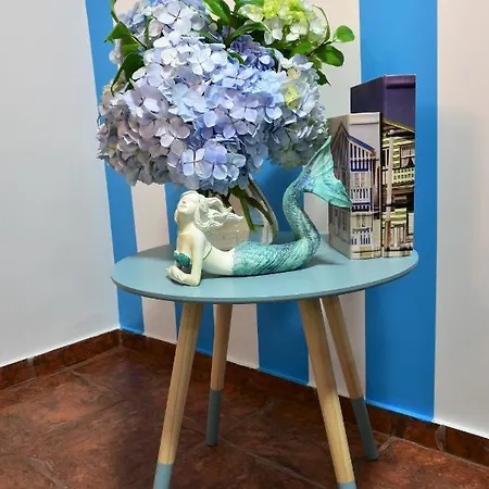 Salty Stories Appartement