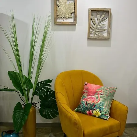 Salty Stories * Ponta Delgada